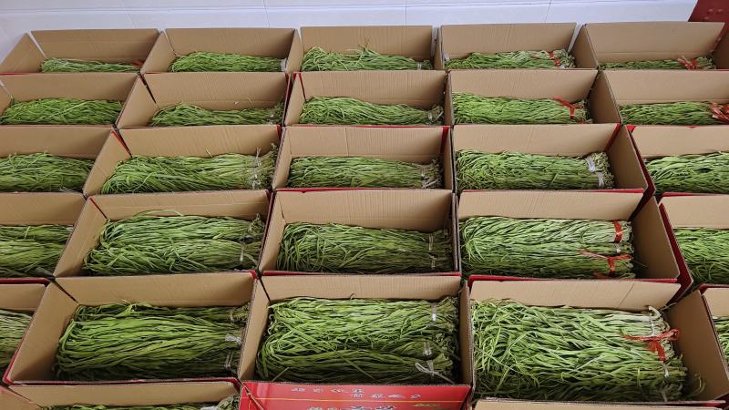 云南贡菜精选小包装100克9.9包邮，一家4人吃两餐的量
