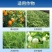 供应农业级硫酸钾生根壮苗保花果增甜长效钾肥100斤1袋