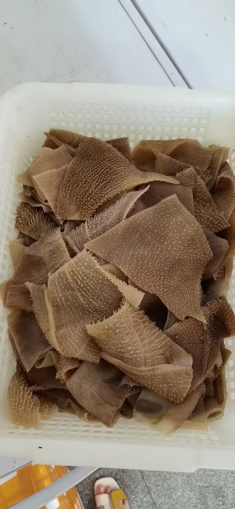 毛肚大叶片