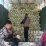 陕西省三原县冷库大白菜