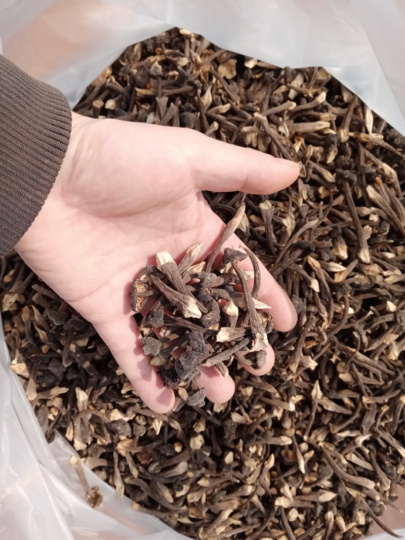鸡枞菌干品