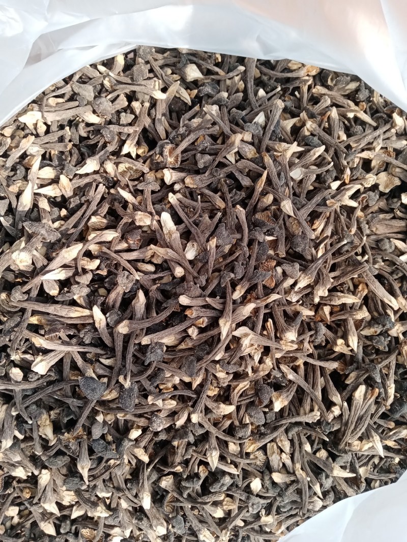 鸡枞菌干品