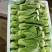 本地小油菜，质量好量大，还有各种蔬菜，欢迎采购