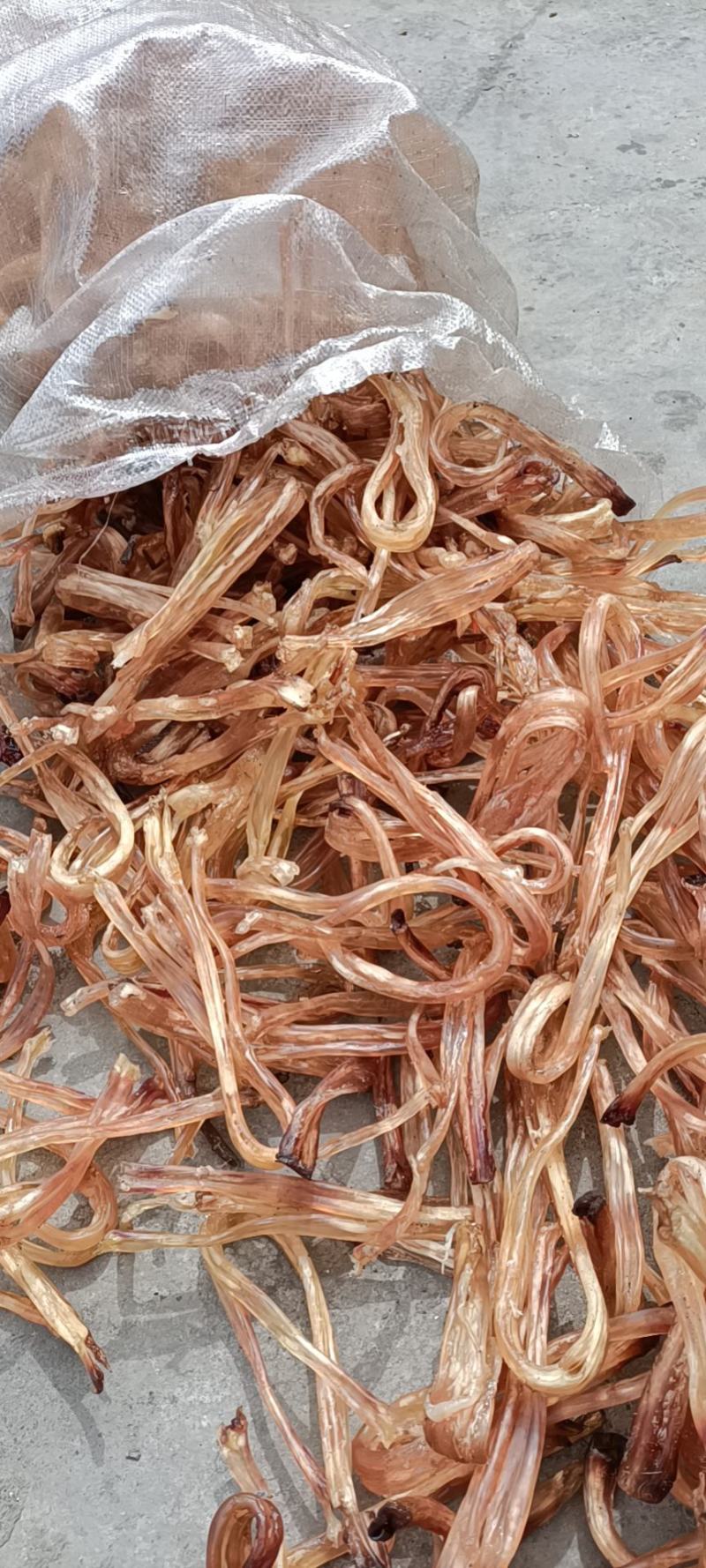 干牛筋