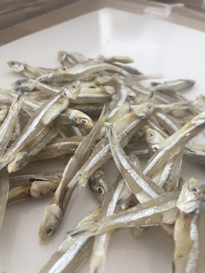 淡干公干鱼小鱼干地摊淡干小鱼干公干鱼银鱼干