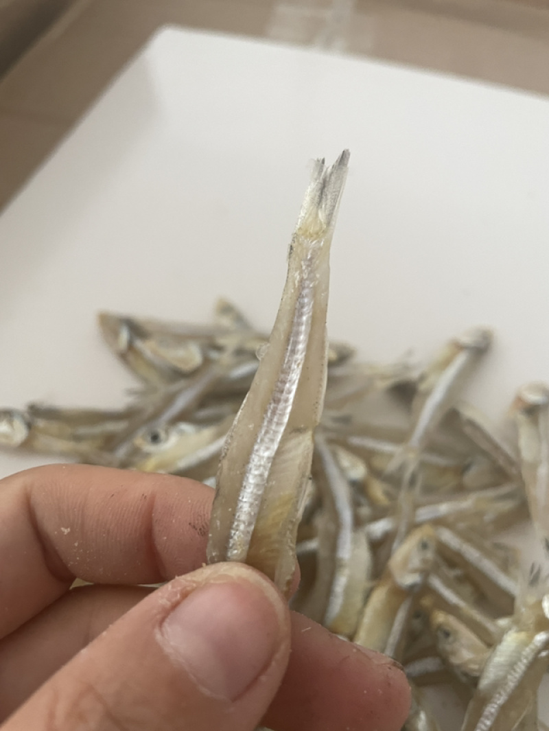 淡干公干鱼小鱼干地摊淡干小鱼干公干鱼银鱼干