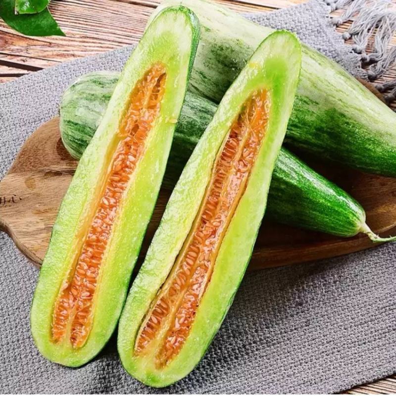 山东羊角蜜甜瓜大量现货，博洋61甜瓜，物美价廉