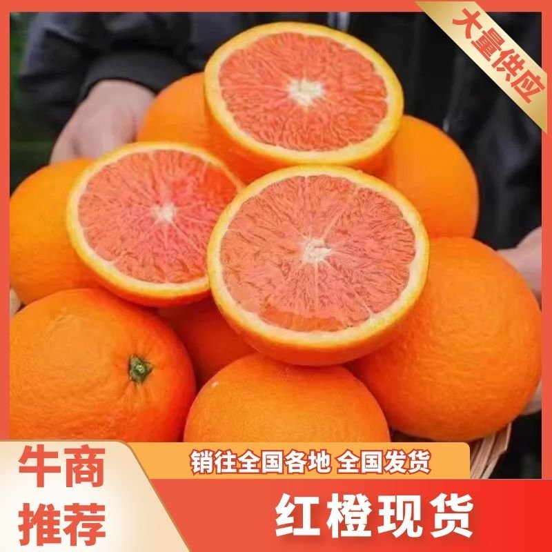 秭归中华红血橙产地现摘直发精选品质大果价格可谈