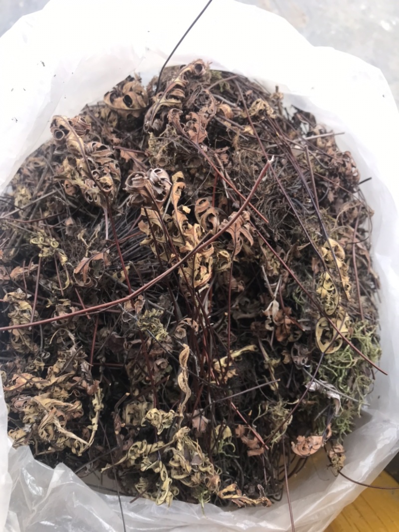 野生通经草，自然生长，人工采摘，干净无杂质。