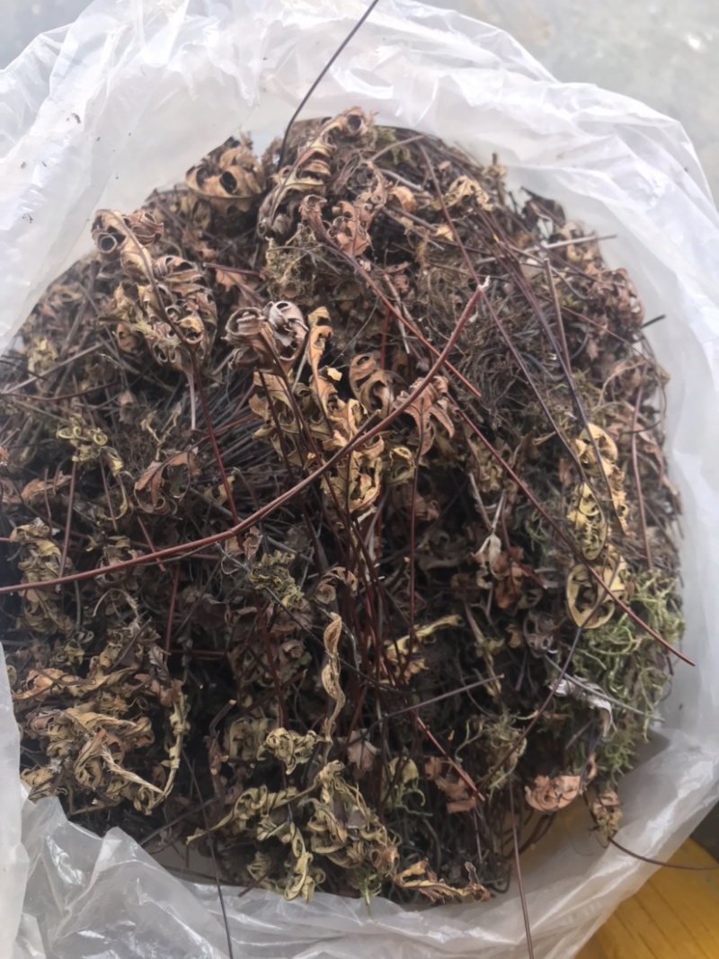 野生通经草，自然生长，人工采摘，干净无杂质。