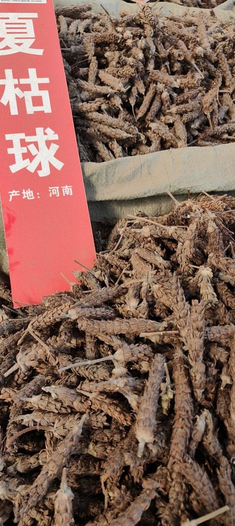 夏枯球常年有货大量批发量大从优质量保证纯