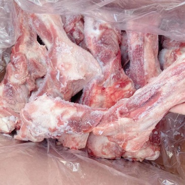前腿骨