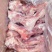 前腿骨