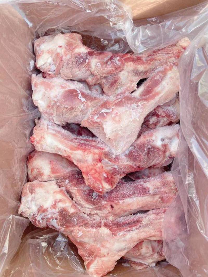 前腿骨