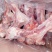 前腿骨