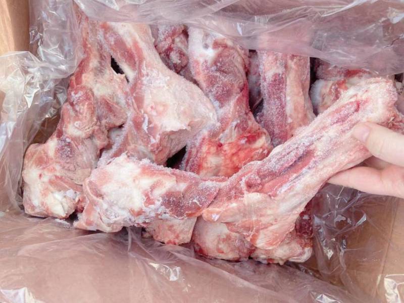 前腿骨