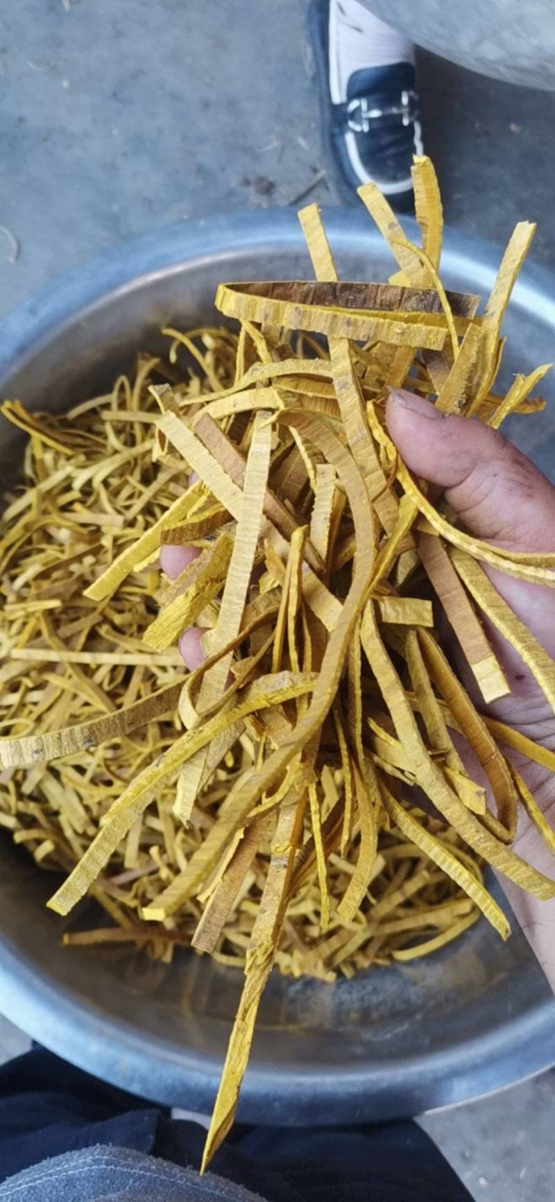 黄柏，川黄柏，各种规格都有，支皮，主干皮