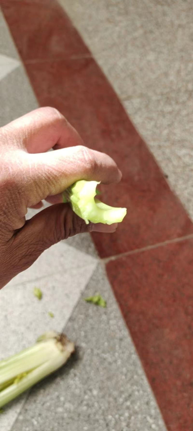 芹菜