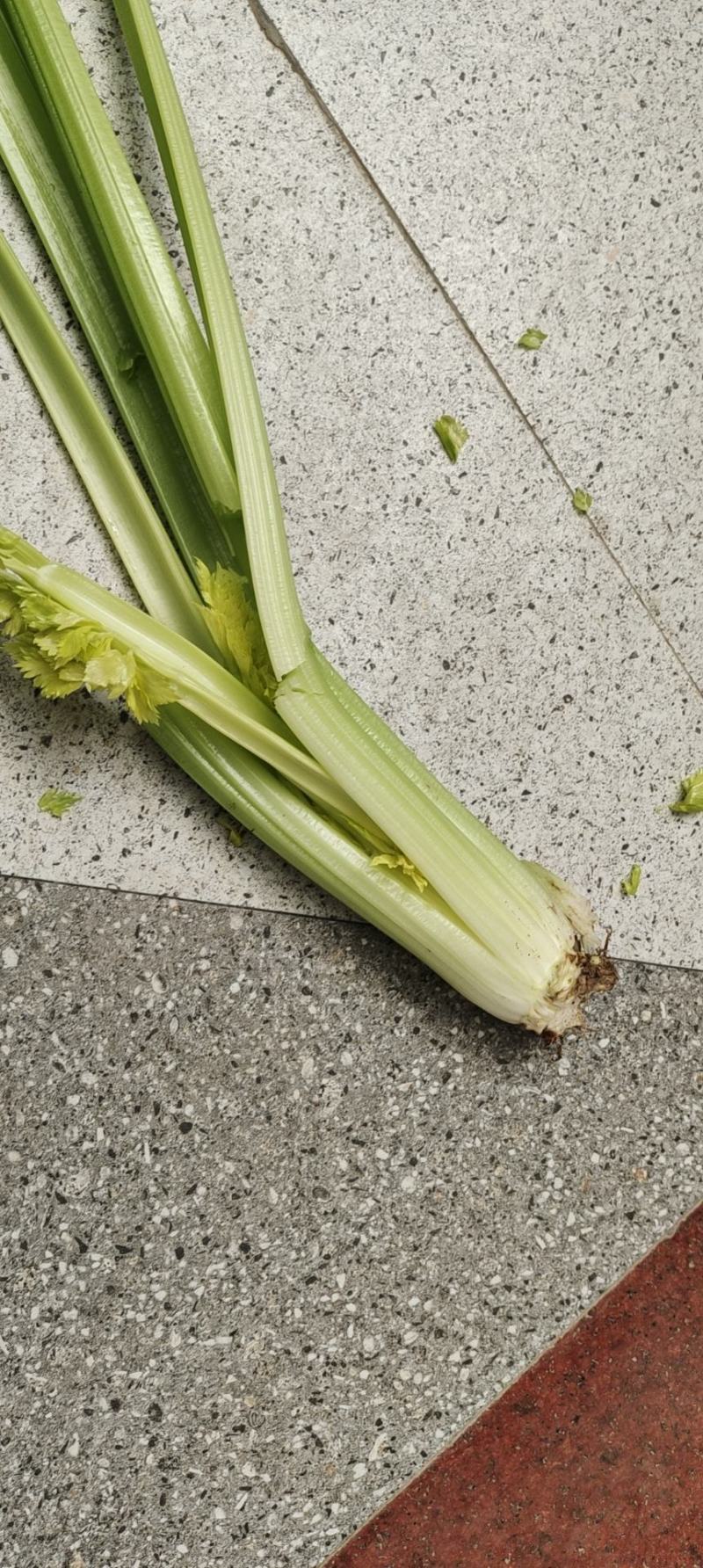 芹菜