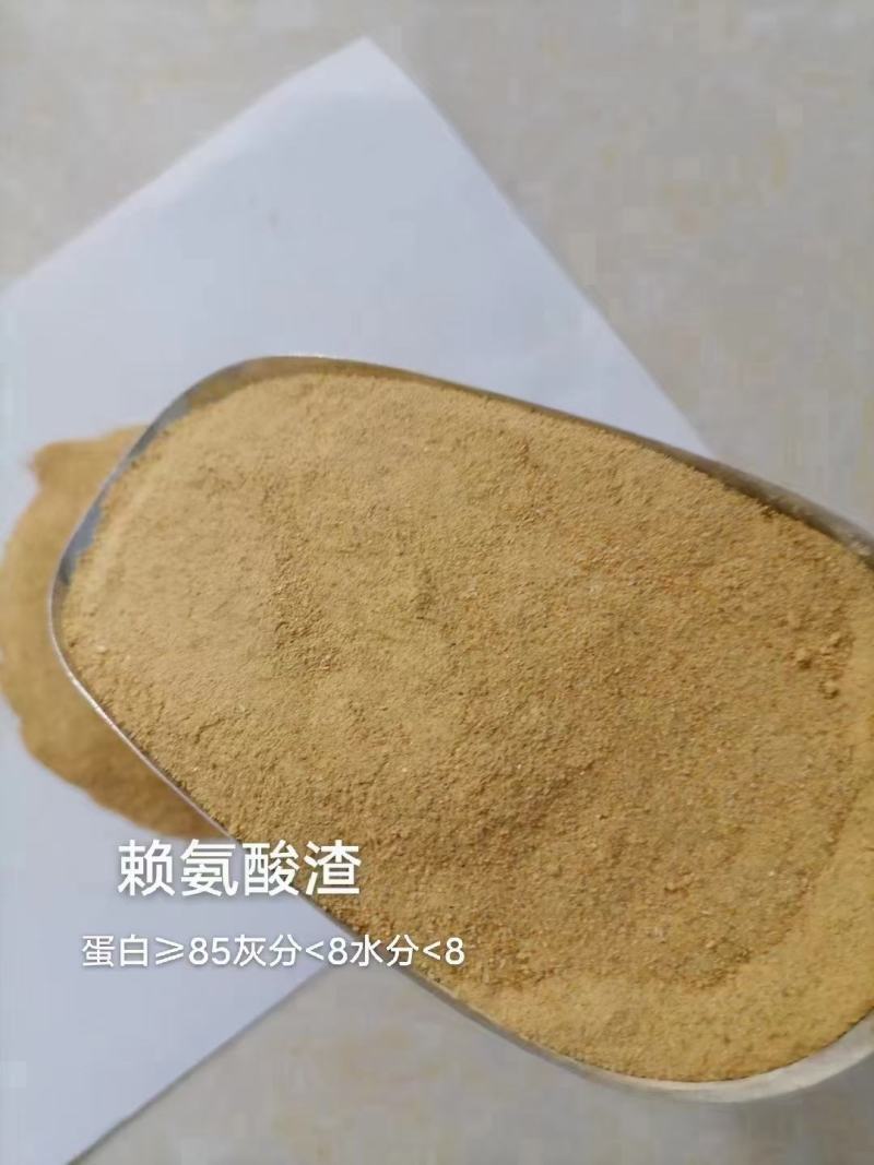 赖氨酸渣