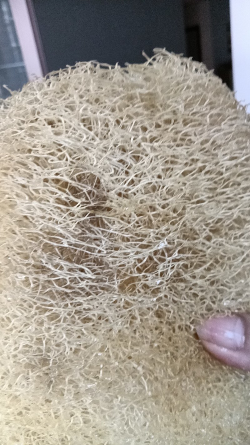 丝瓜络