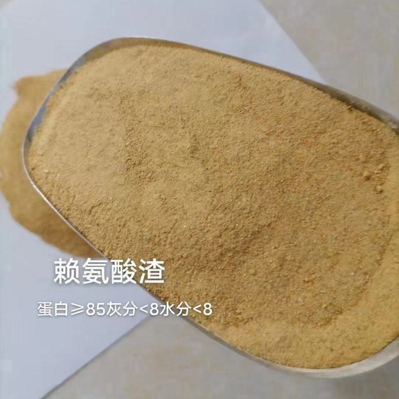 赖氨酸渣