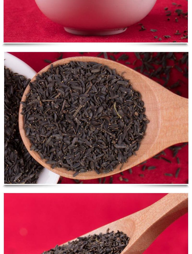 蛇目菊种子，秋季庭院绿化花期长花卉观赏绿化花卉耐寒耐贫橘