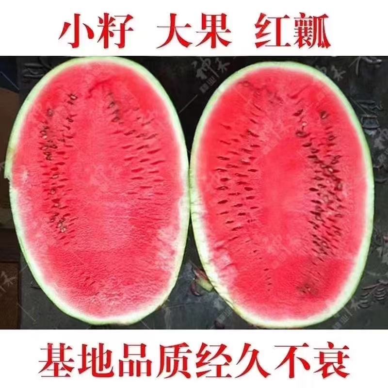 籽小且少大果型西瓜种子超甜懒汉王西瓜种子耐重茬西瓜种籽
