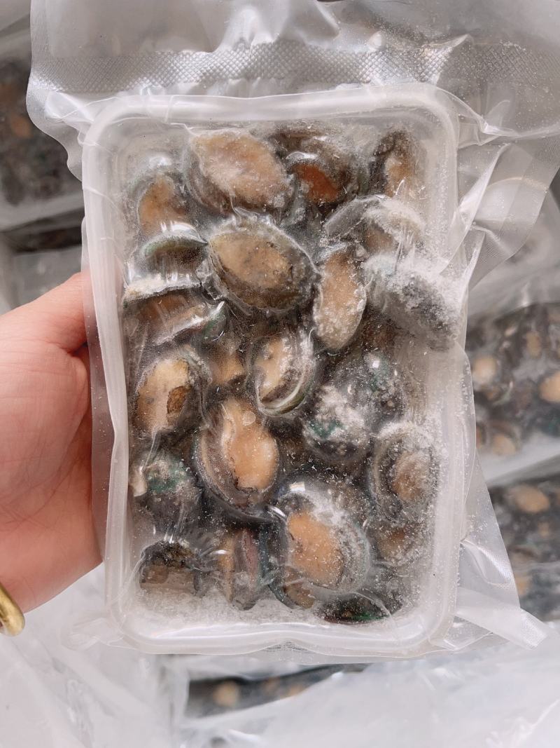 鲍鱼【海头厂家】小鲍鱼鲍鱼肉冻鲍鱼