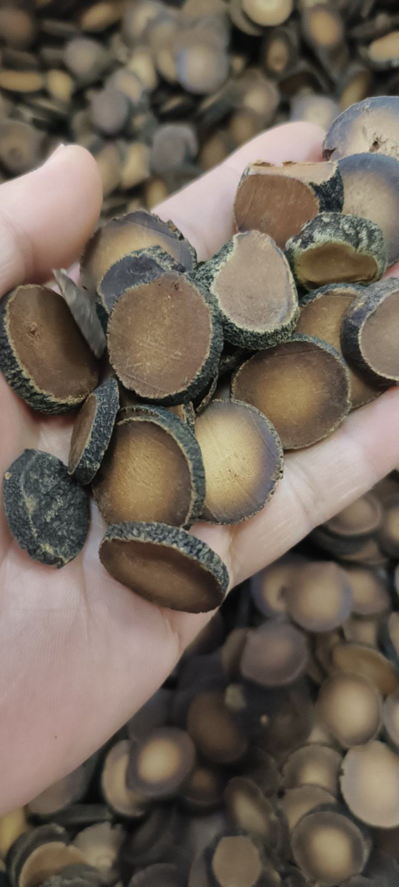 广西橘红广州化橘红干品包邮量大从优一手货源