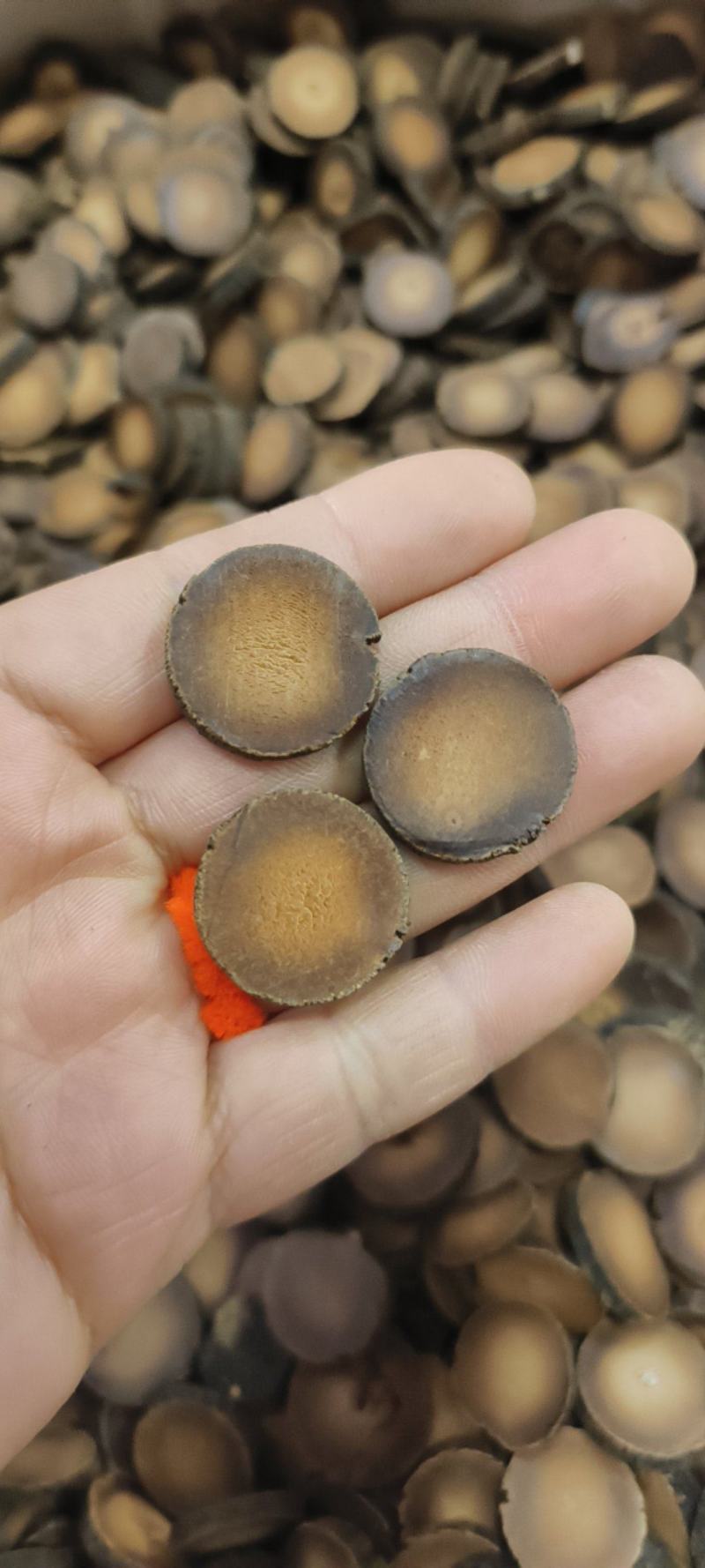 广西橘红广州化橘红干品包邮量大从优一手货源