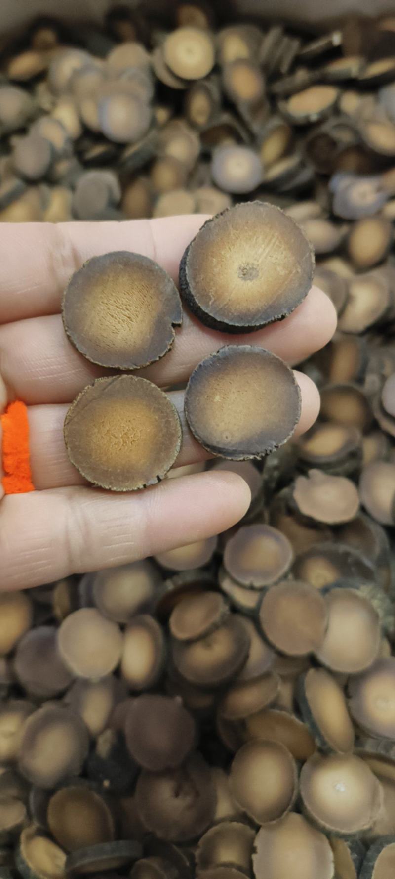 广西橘红广州化橘红干品包邮量大从优一手货源