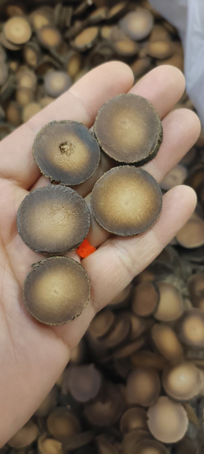 广西橘红广州化橘红干品包邮量大从优一手货源