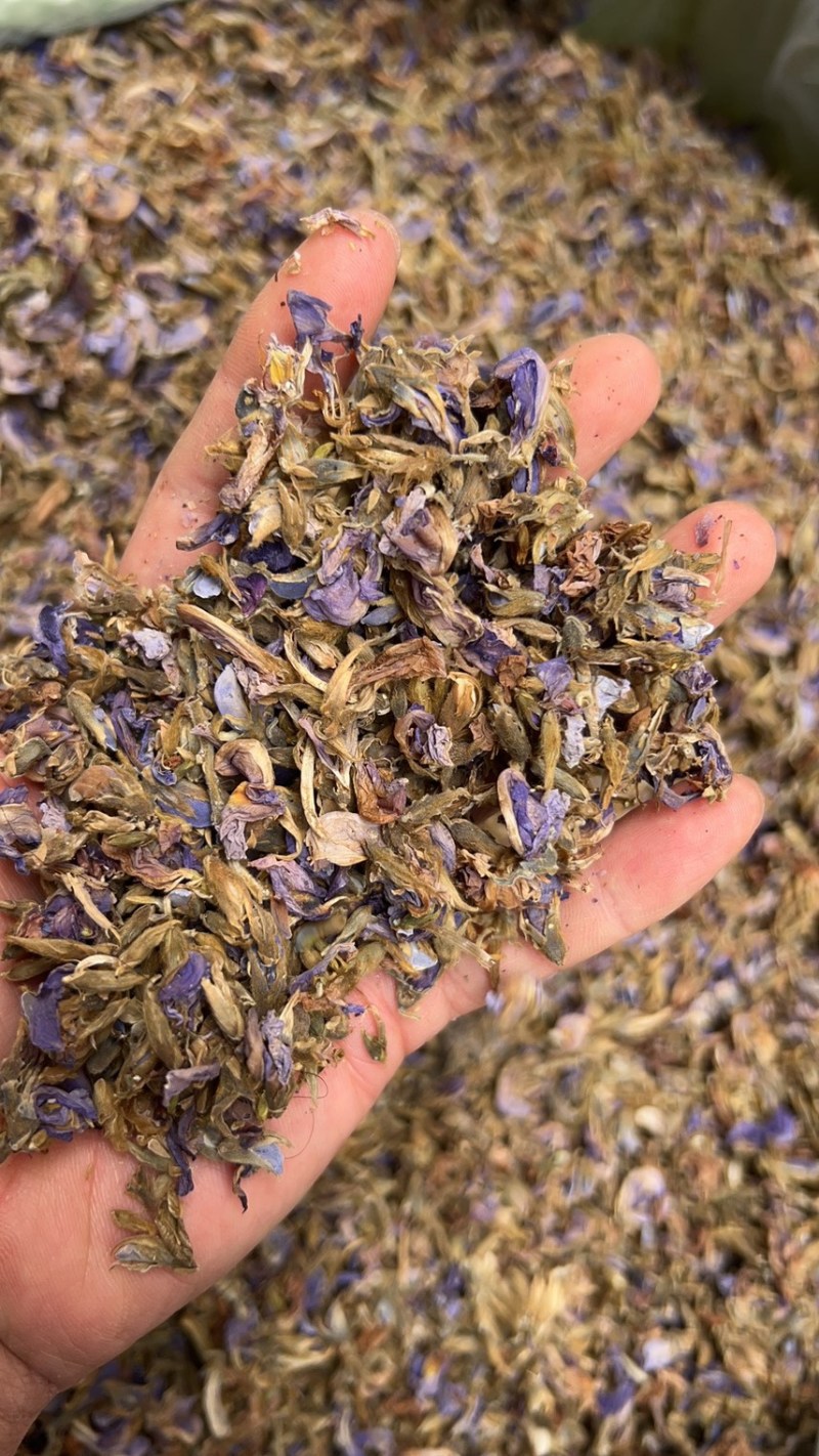 葛花无硫磺熏大葛花顔色靓