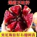 突尼斯石榴苗～软籽～黑籽～无籽～硬籽～品种保证～死苗包赔