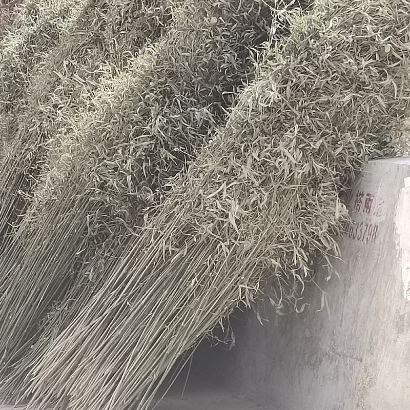 竹子菜架竹扫把竹一手货源产地直发