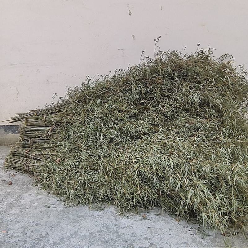 竹子菜架竹扫把竹一手货源产地直发