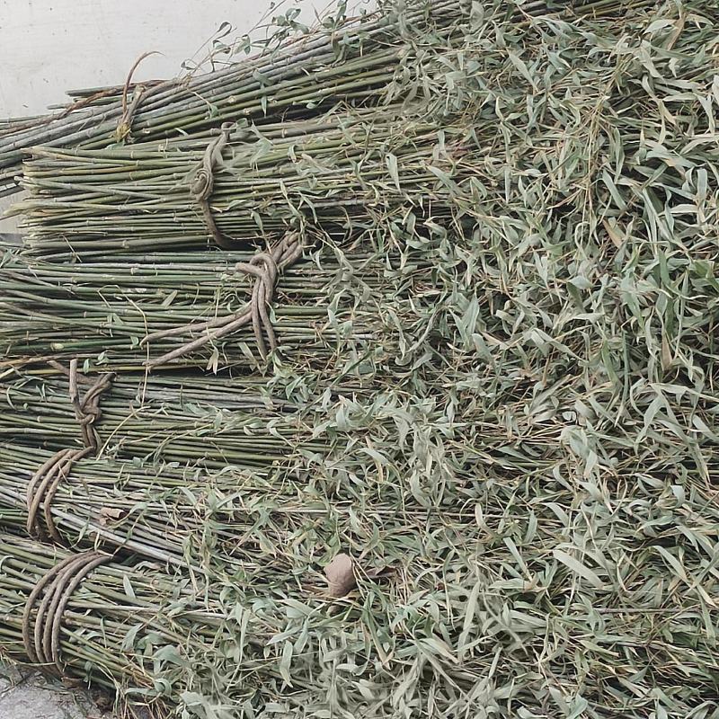 竹子菜架竹扫把竹一手货源产地直发