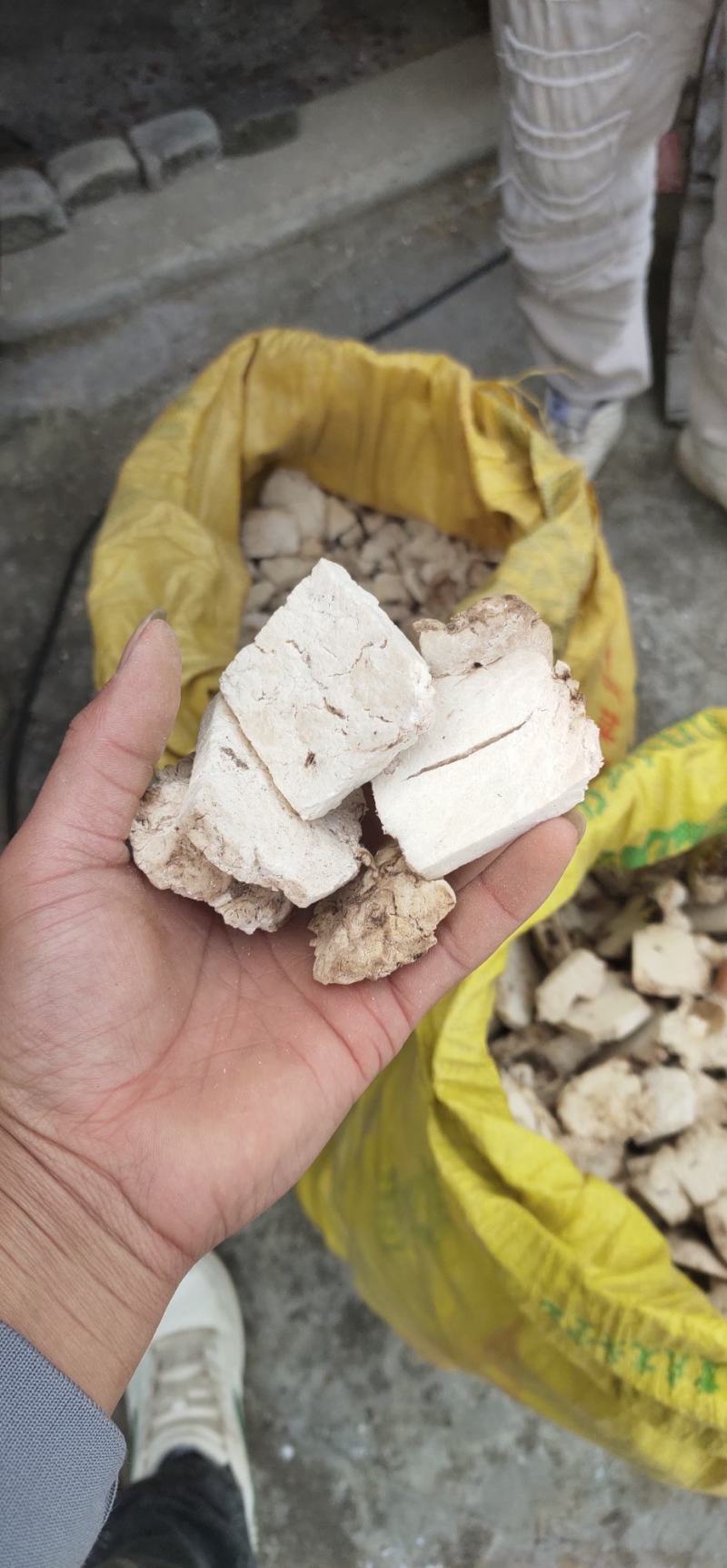 茯苓梧州本地茯苓茯苓丁茯苓片茯神