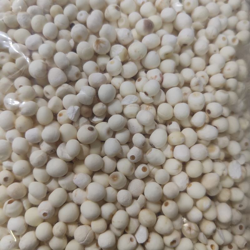 芡实去皮大粒白芡实新货无硫大粒鸡米粒头可供零售批发