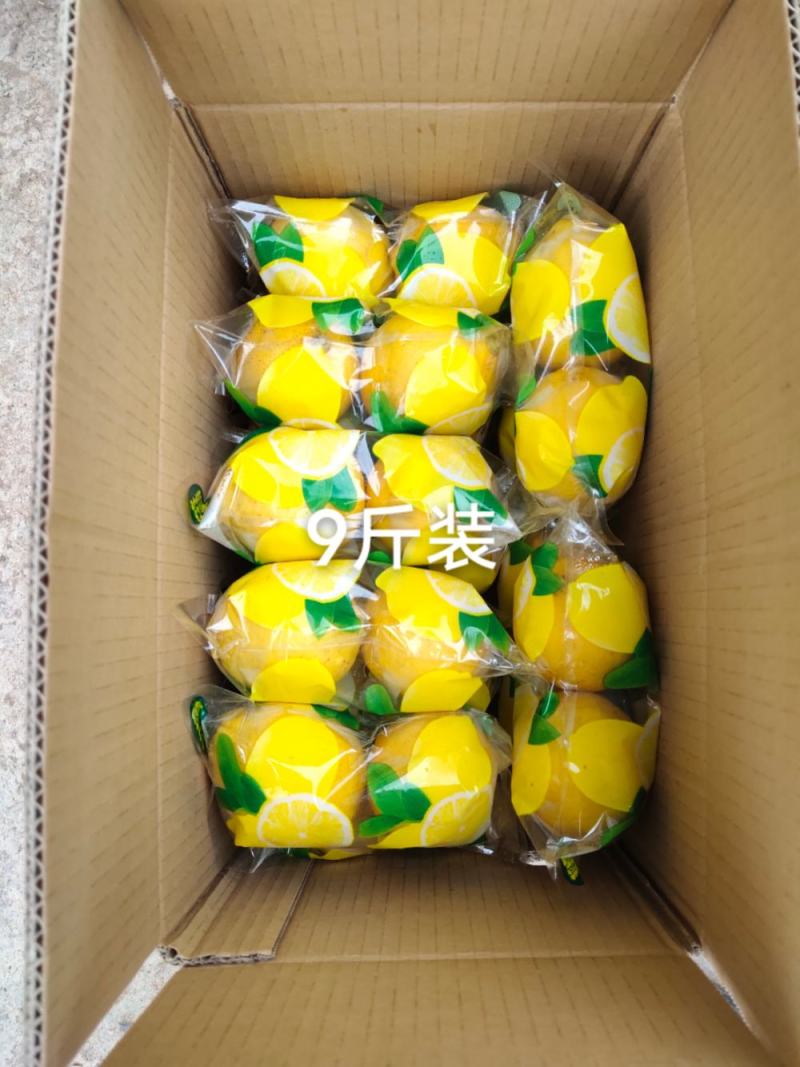 安岳黄柠檬双胞胎中小果