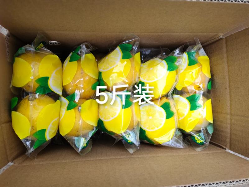 安岳黄柠檬双胞胎中小果