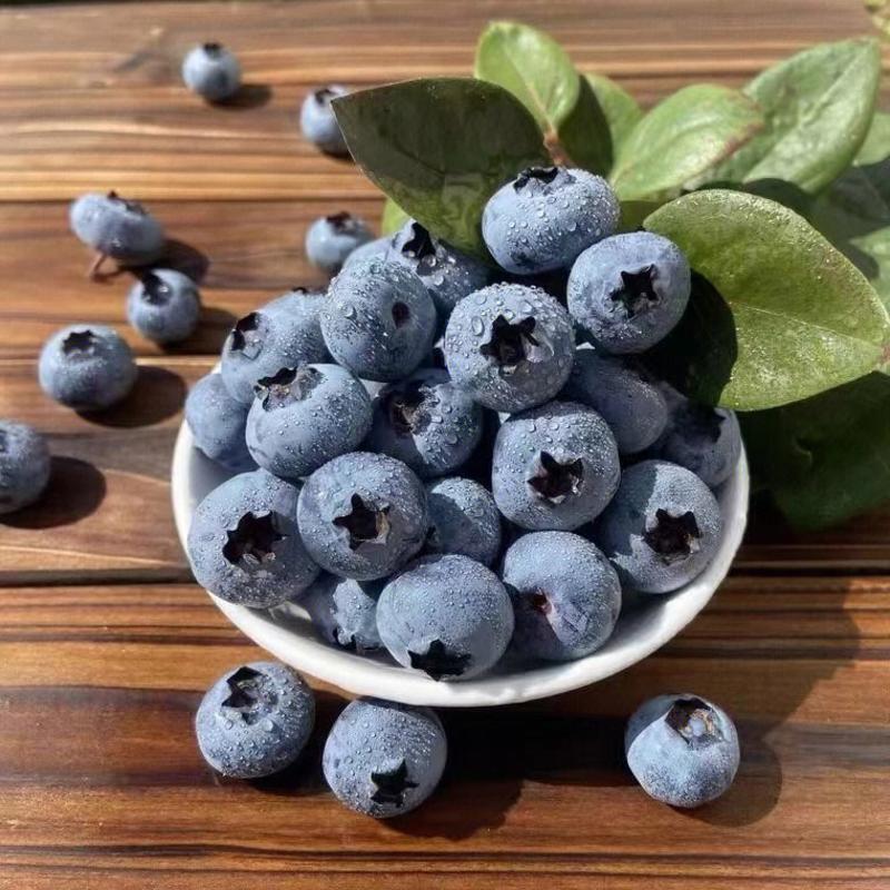 山东万亩优质蓝莓基地果粉好口感脆甜电商代发一手货源