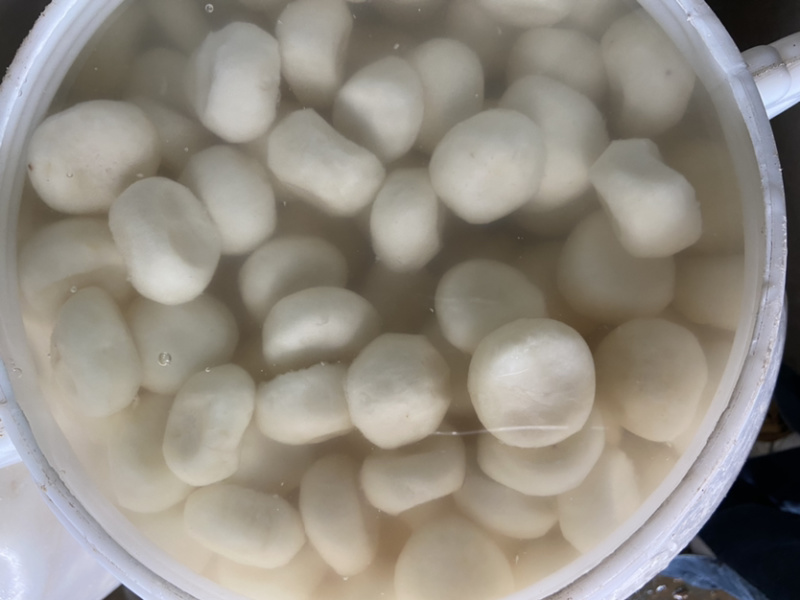 厂家批发速冻马蹄丁荔浦马蹄圆马蹄速冻荸荠去皮马蹄批发