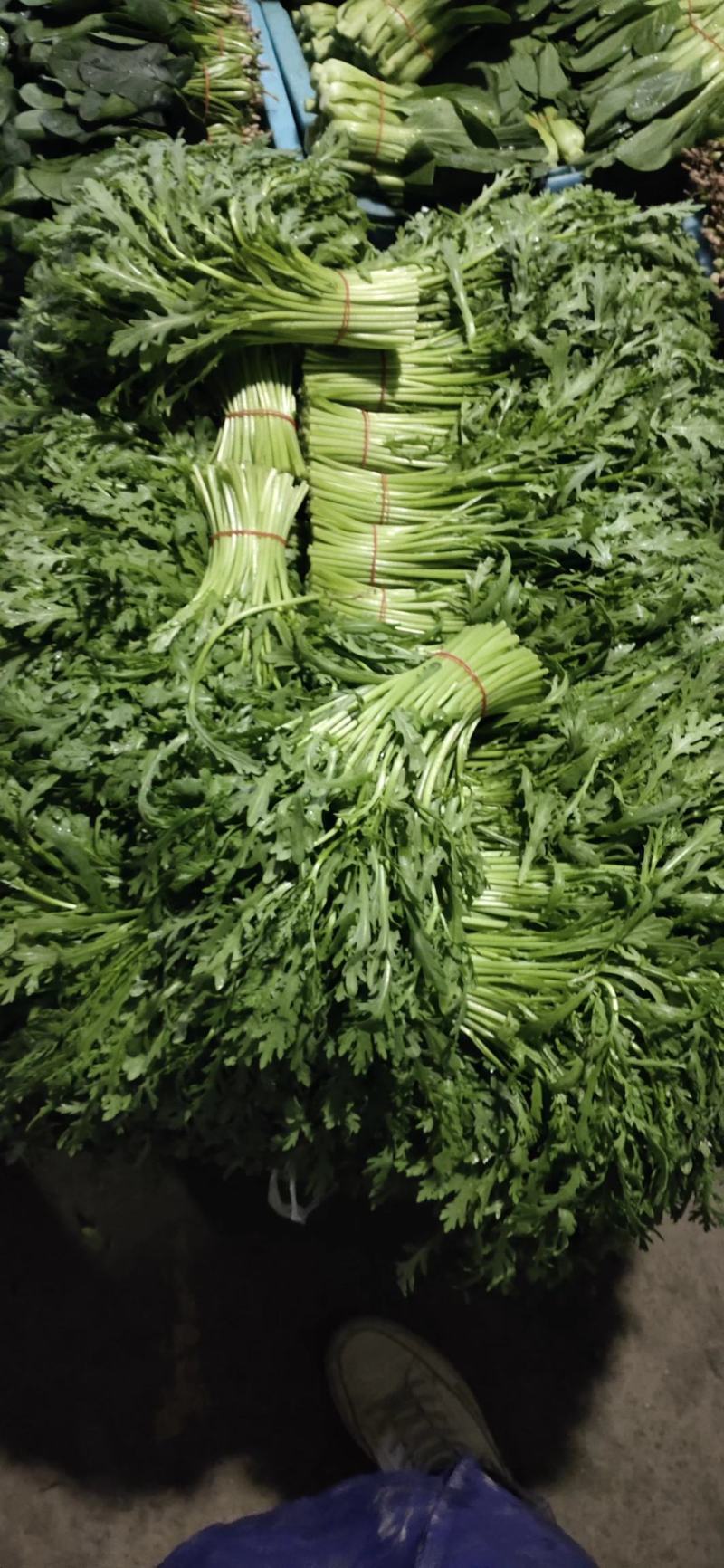 南通蔬菜基地精品叶菜类大量上市欢迎电话订购