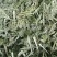 烘干雪里红（整条精品）搜：才建干菜批发销售