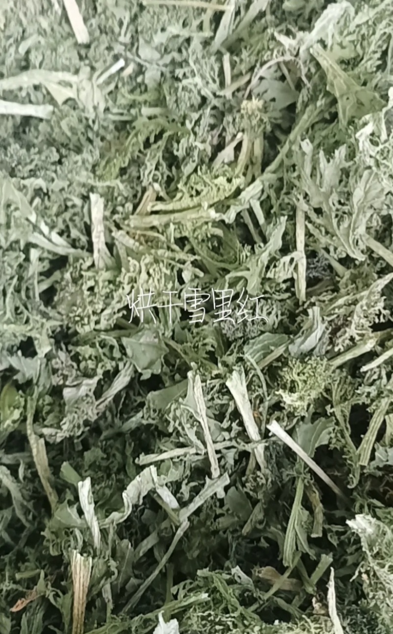 烘干雪里红（整条精品）搜：才建干菜批发销售