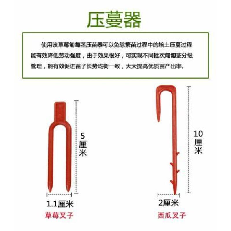 西瓜甜瓜叉压蔓器草莓育苗叉压苗U型藤蔓定植器塑料固定叉固