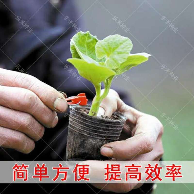 嫁接夹育苗嫁接夹瓜果蔬菜花卉苗木圆口平口夹嫁接小夹子嫁接