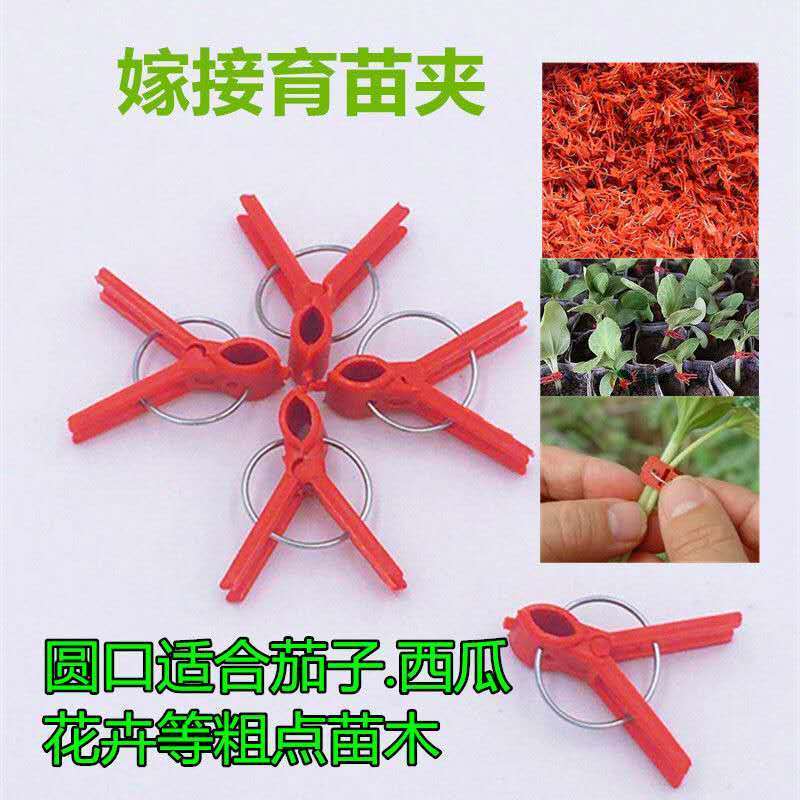 嫁接夹育苗嫁接夹瓜果蔬菜花卉苗木圆口平口夹嫁接小夹子嫁接